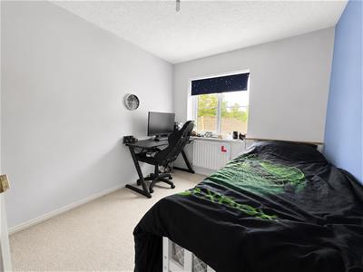 Picture 14